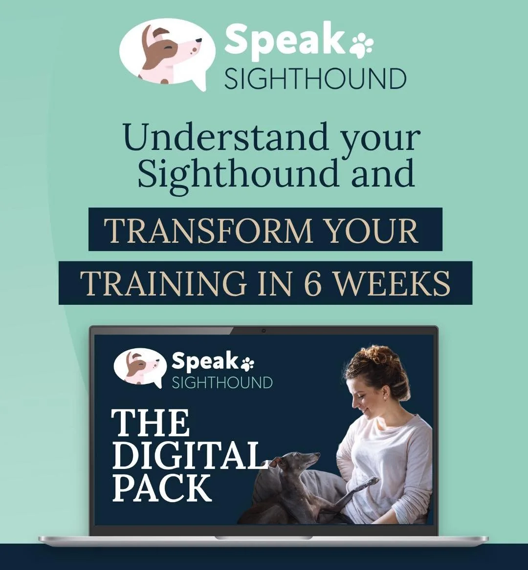 Becca and I both absolutely adore sighthounds

Becca from @behaviourbybecca is a Clinical Animal Behaviourist who specialises in sighthounds, and together we created Speak Sighthound a digital self-study pack built around the things we&rsquo;re most 