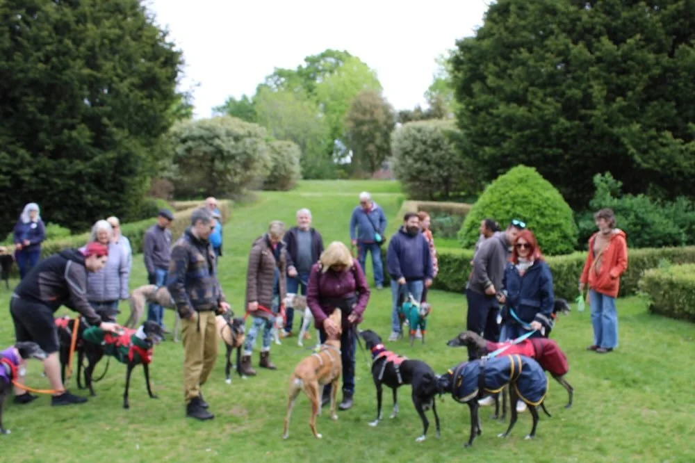 Thank you so much to everyone who joined us for our social walk at @castlebromwichhallgardens it was great to see you all! Thanks to the team and to Steph for so many of these great photos! 

Izzy is tiered this evening and Freddie is VERY sleepy aft