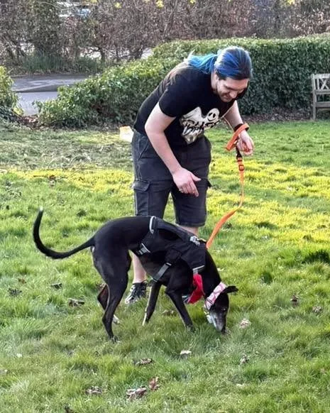 Sending lots of love to Steph, Will, and Shadow, who sadly said goodbye to their lovely Star this week.

Star has been part of the Insight Hounds community for a while, along with Shadow, and she was very clearly adored.

She was such a sweet girl, a