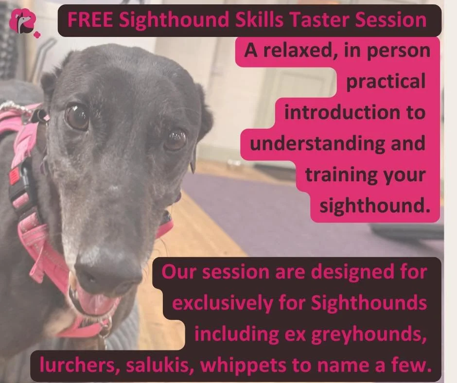 Free in-person Sighthound Skills Taster Session 

If you&rsquo;ve ever felt like your sighthound is a bit of a mystery, or that generic training advice just doesn&rsquo;t quite fit, this free session is for you.
Come along for a relaxed, practical in