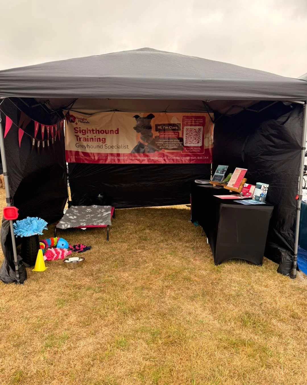 All set up at Greyfest! 

#greyfest2026 #greyfest