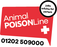 Animal PoisonLine: What to Do if Your Dog May Have Eaten Something Harmful