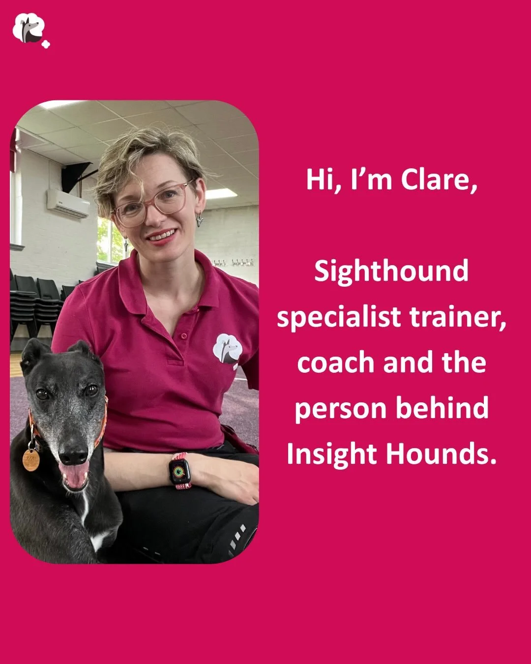 There are quite a few new followers recently, so I thought it&rsquo;s a good time to say hi and tell you a little more about the story behind Insight Hounds.