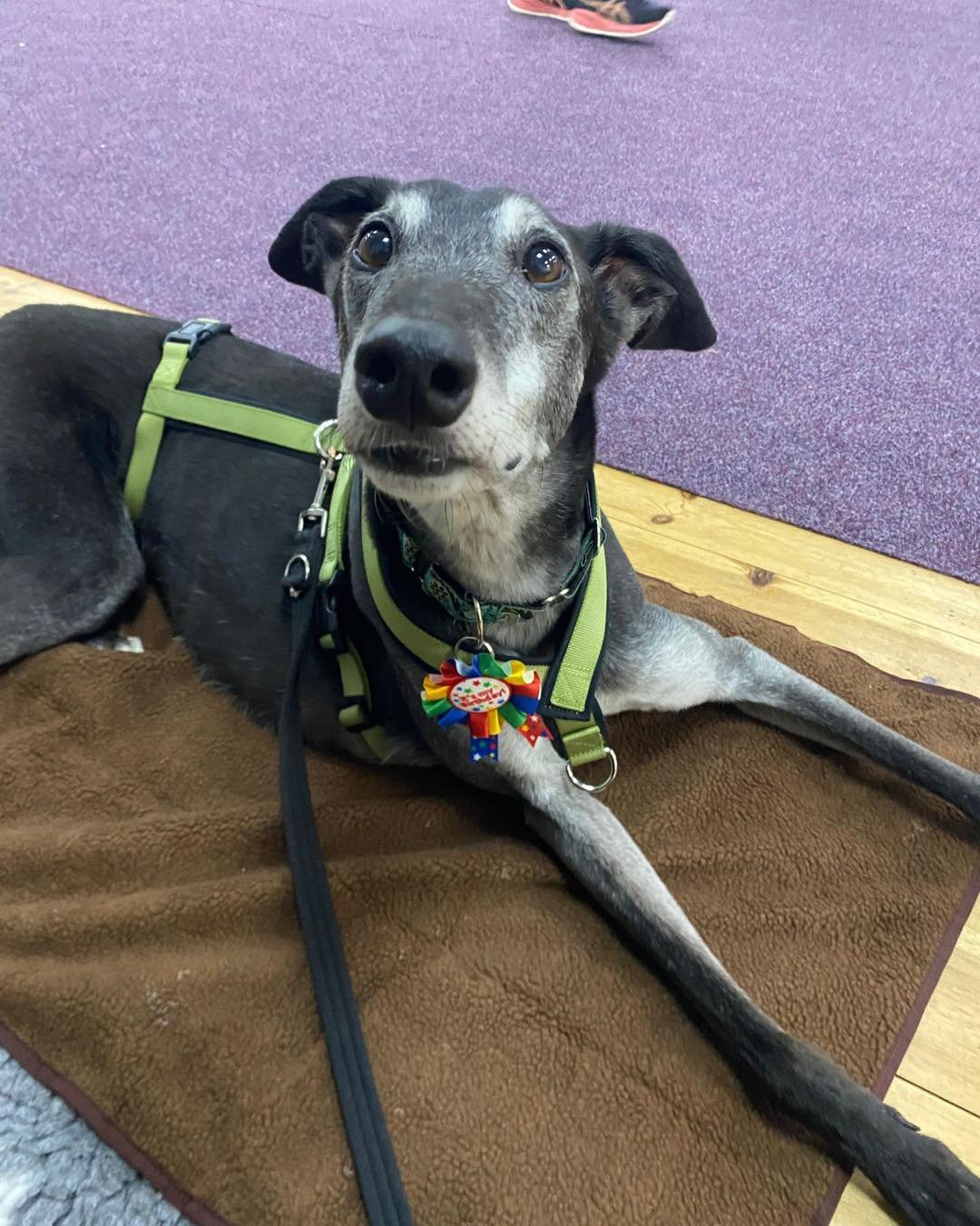 Happy birthday to the very handsome Sammy, who celebrated his birthday this week! 

This boy is just adorable. He&rsquo;s a quiet observer who likes to watch, take things in and think things through.

Sammy is adored by so many of his classmates. Som