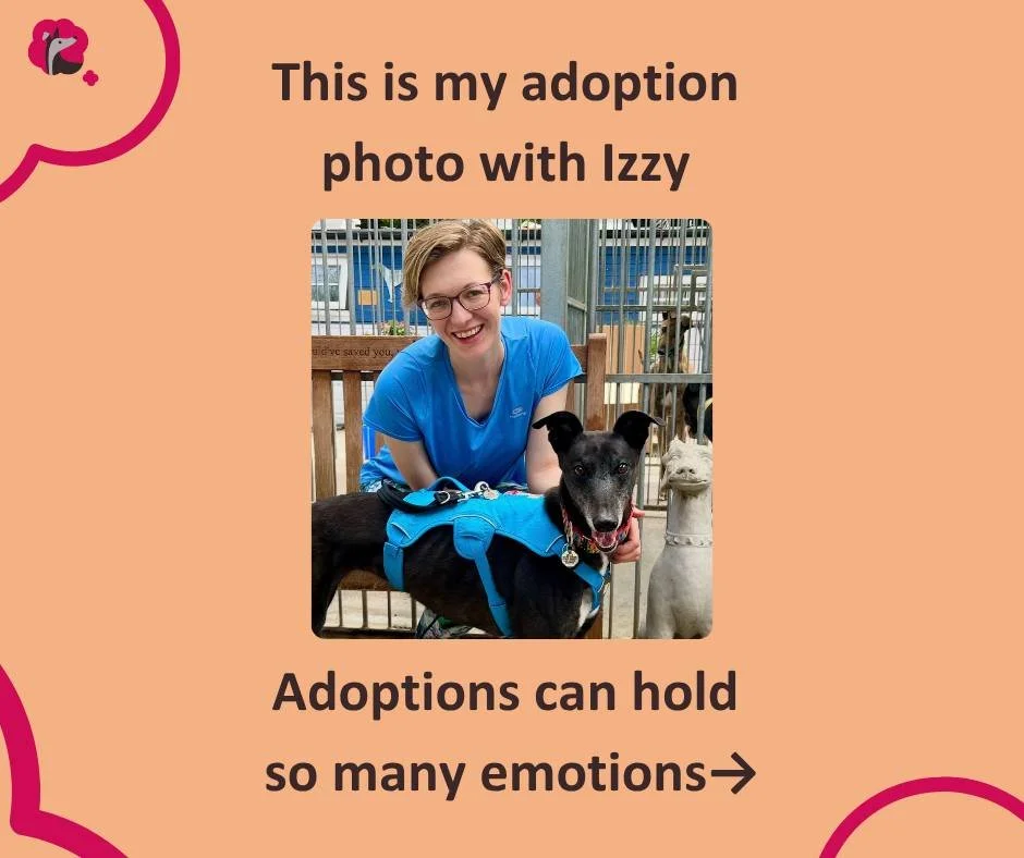 Free Online Session for Newly Adopted Sighthounds this week.