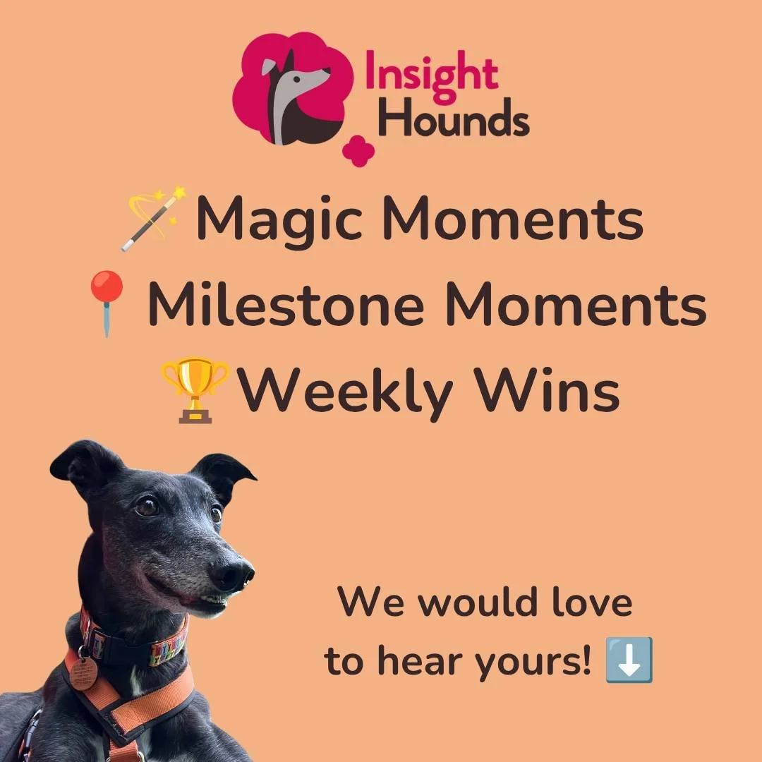 Each week in our Facebook group, we take a moment to share and celebrate our weekly wins.
They don&rsquo;t have to be enormous breakthroughs. Often, it&rsquo;s the small moments that matter most. Over time, those moments begin to build into much bigg