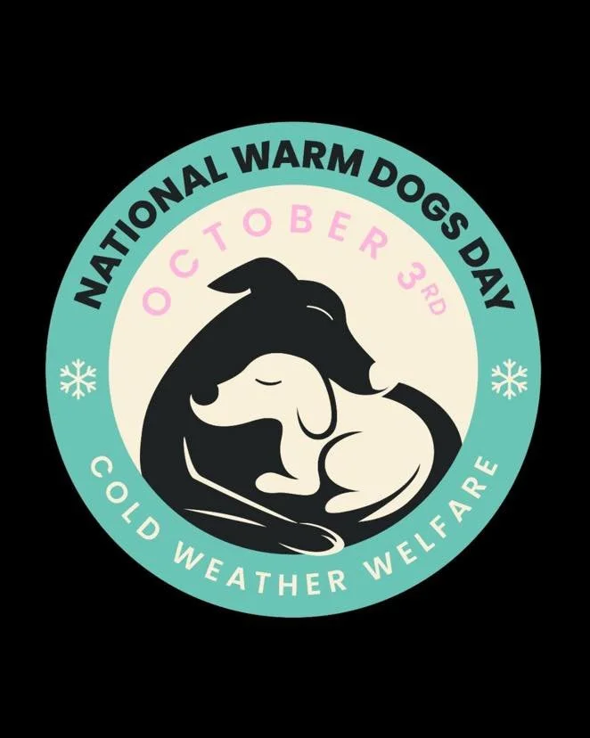 Today is National Warm Dogs Day, created by Jane from Couch and Chase. 

Jane has shared these helpful reminders about keeping our dogs warm and comfortable as the weather cools.

Living with sighthounds, this is definitely something we need to consi