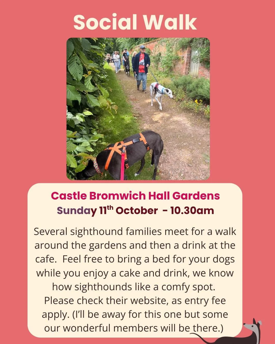 It&rsquo;s our Social Walk is a week today Sunday 11th October at Castle Bromwich Hall Gardens. 

It&rsquo;s a beautiful historic garden, a relaxed walk and lots of Sighthound chat. They also serve lovely cakes! 

(I&rsquo;ll be away for this one but