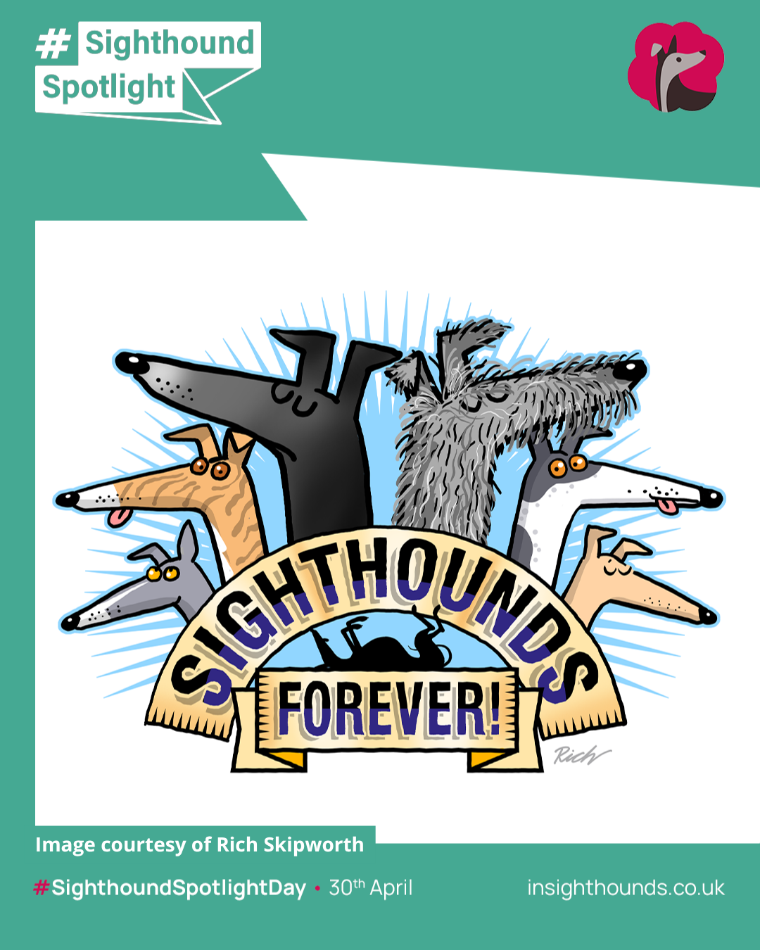 Rich - Sighthounds Forever
