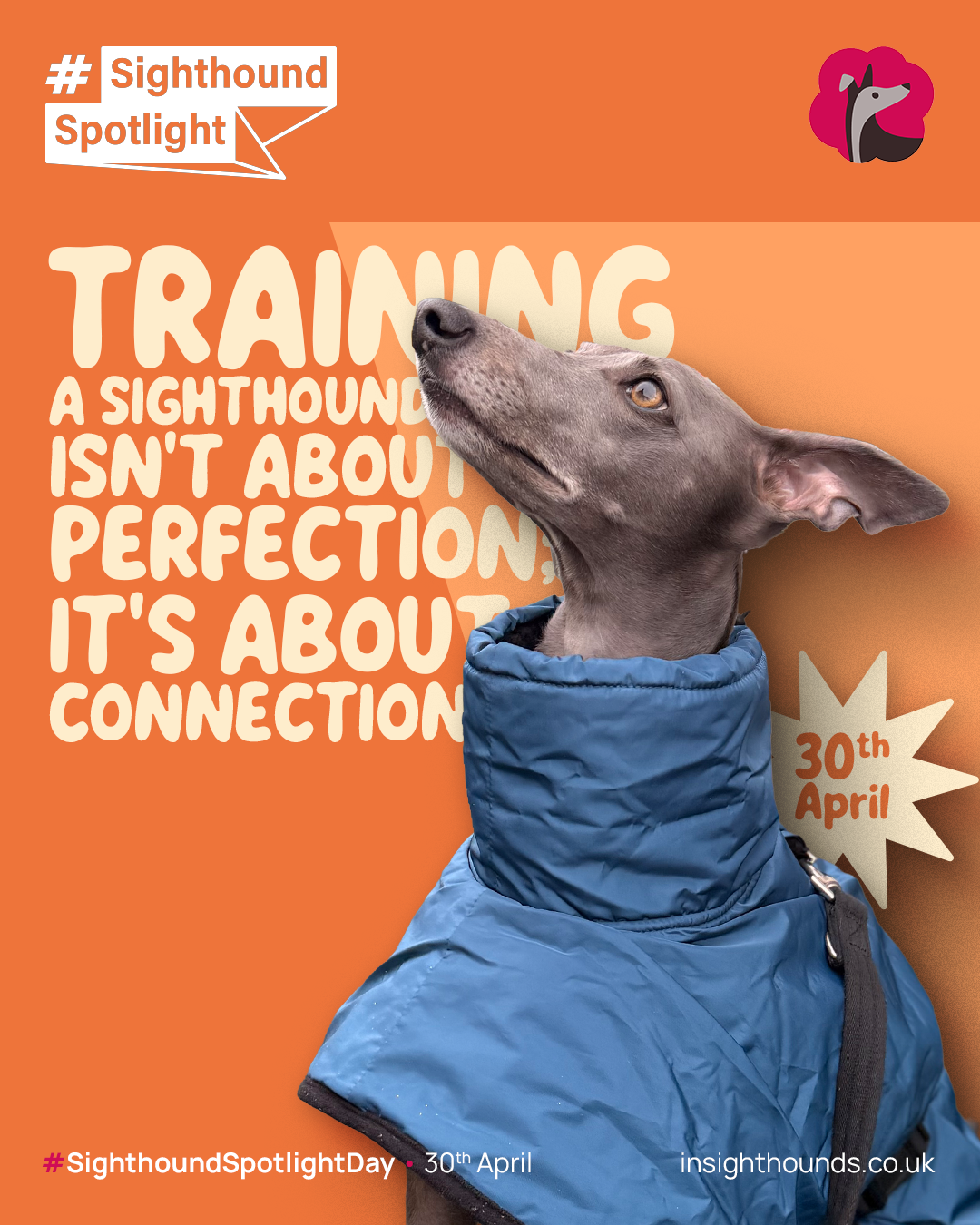 Training -  Connection