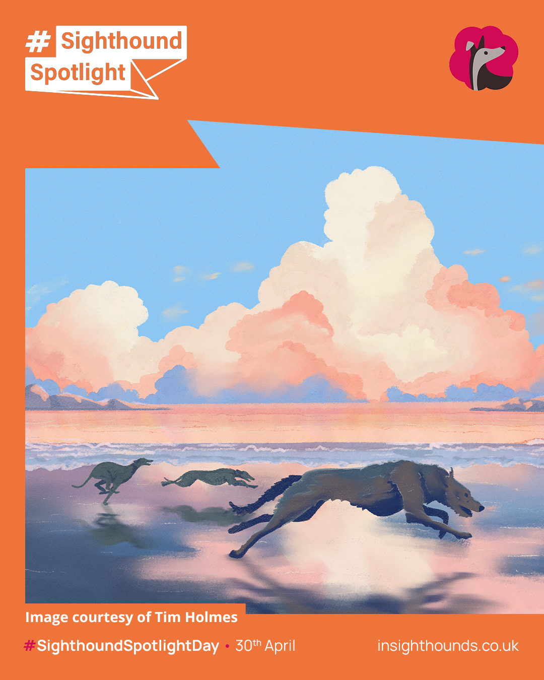 Tim - Sighthounds Beach 