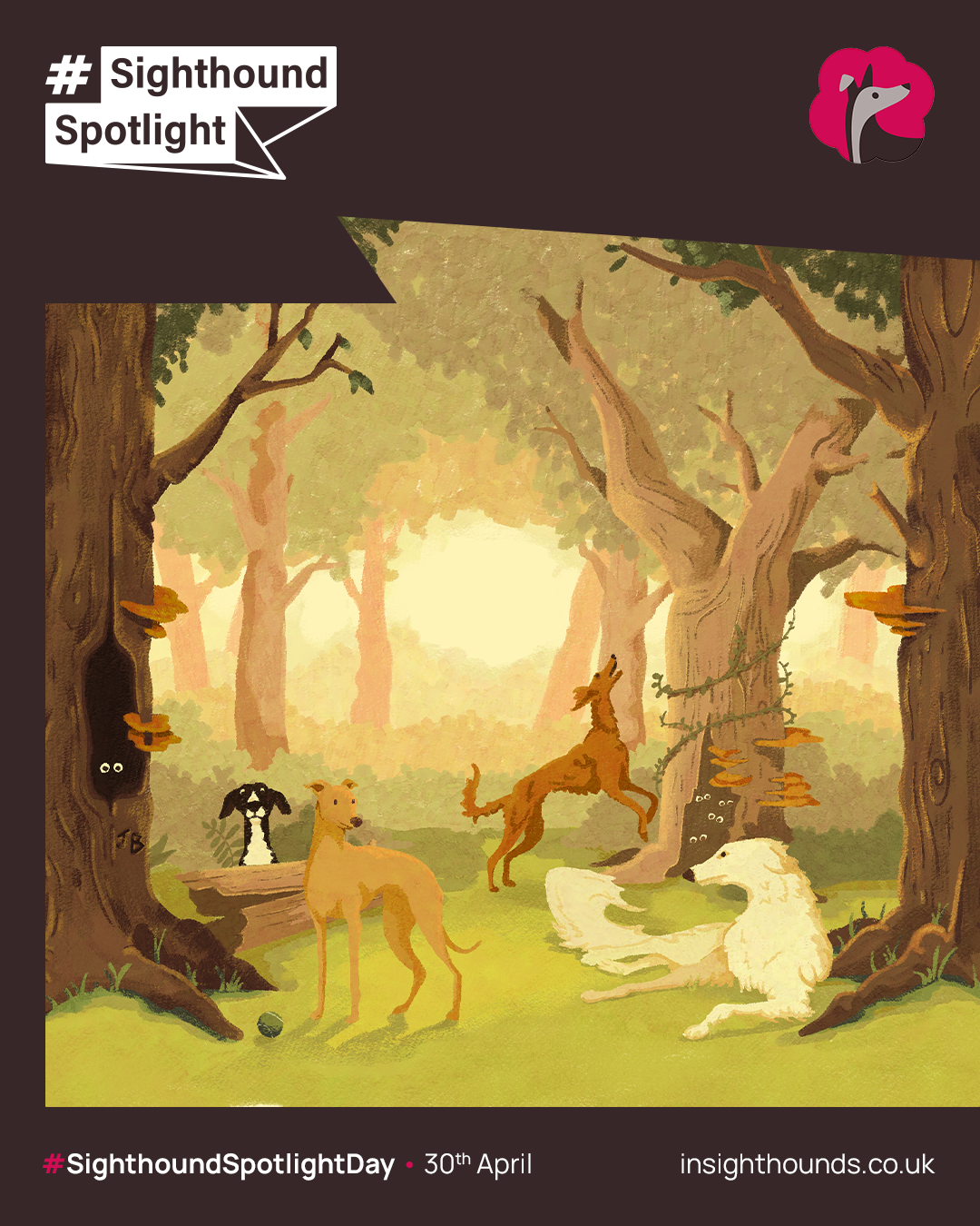 A cartoon illustration of a forest scene at sunset with several sighthounds hunting, squirrel chasing.. The scene includes trees, fungi, a ball on the grass, and animals interacting peacefully.