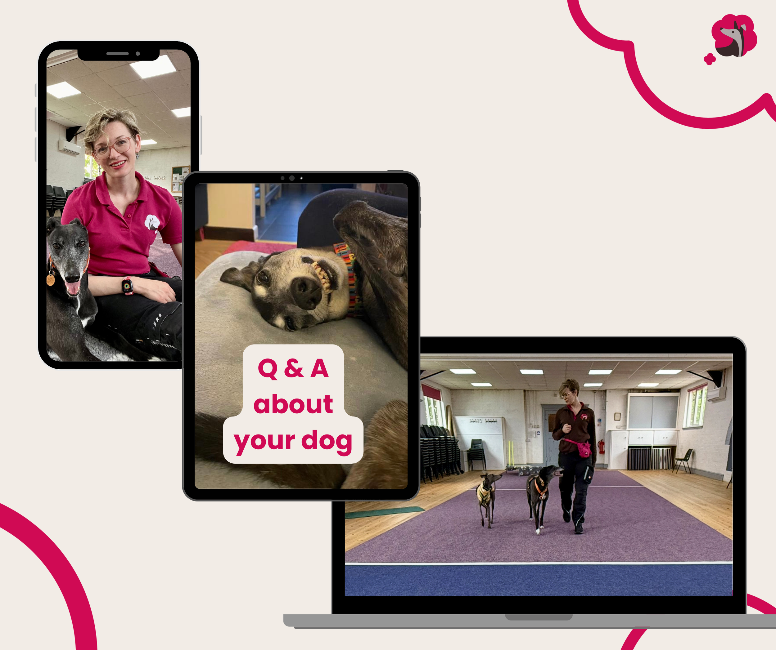 A woman in a pink shirt with a dog sitting beside her, a dog lying on the floor, and a woman instructing a dog in a training class with other dogs present.