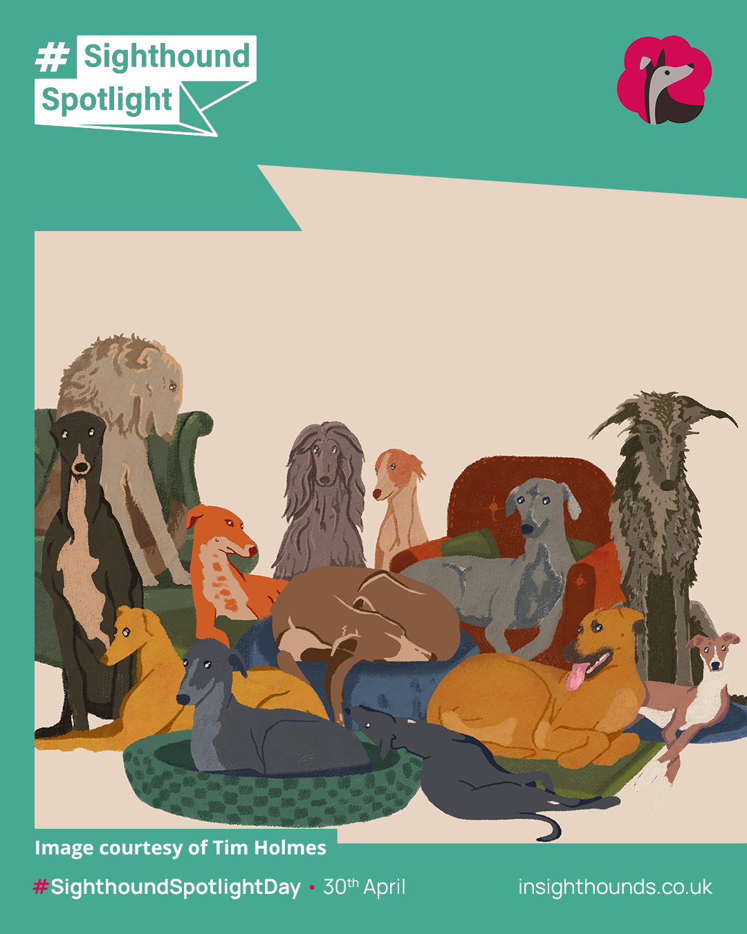 Tim - Sighthounds Sofas