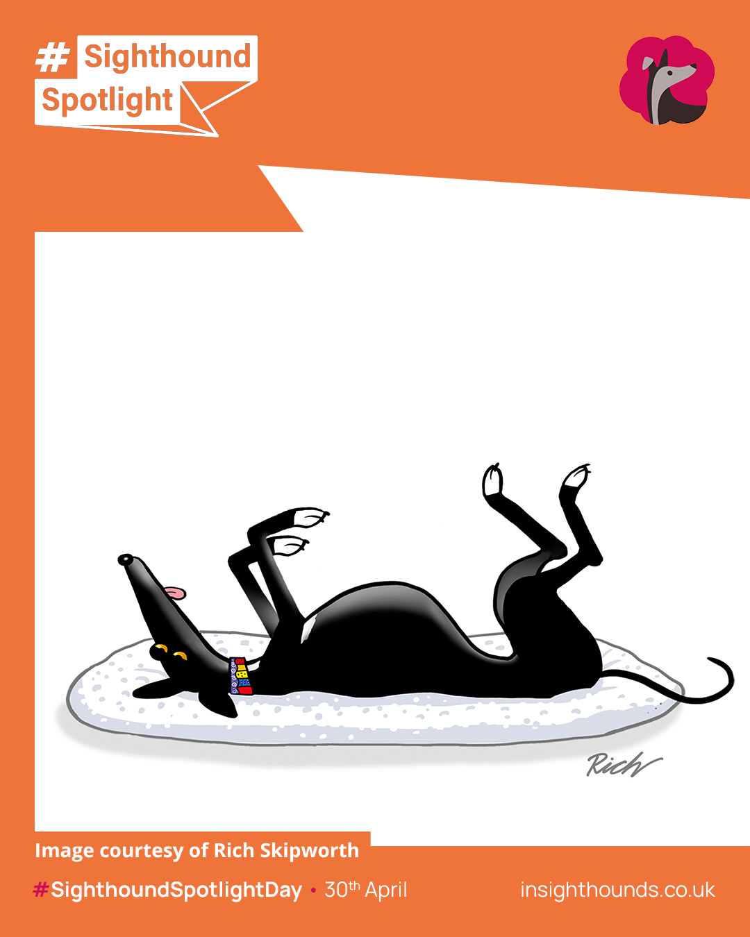 Rich - Greyhound Roaching