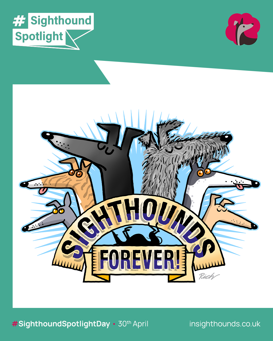 Illustration of cartoon sight hound dog faces with a banner reading 'Sighthounds Forever!', celebrating Sighthound Spotlight Day on April 30th.