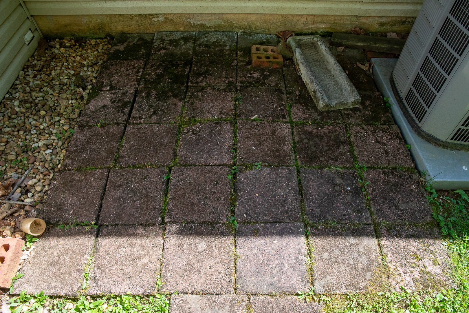 7B8A0366.jpg
