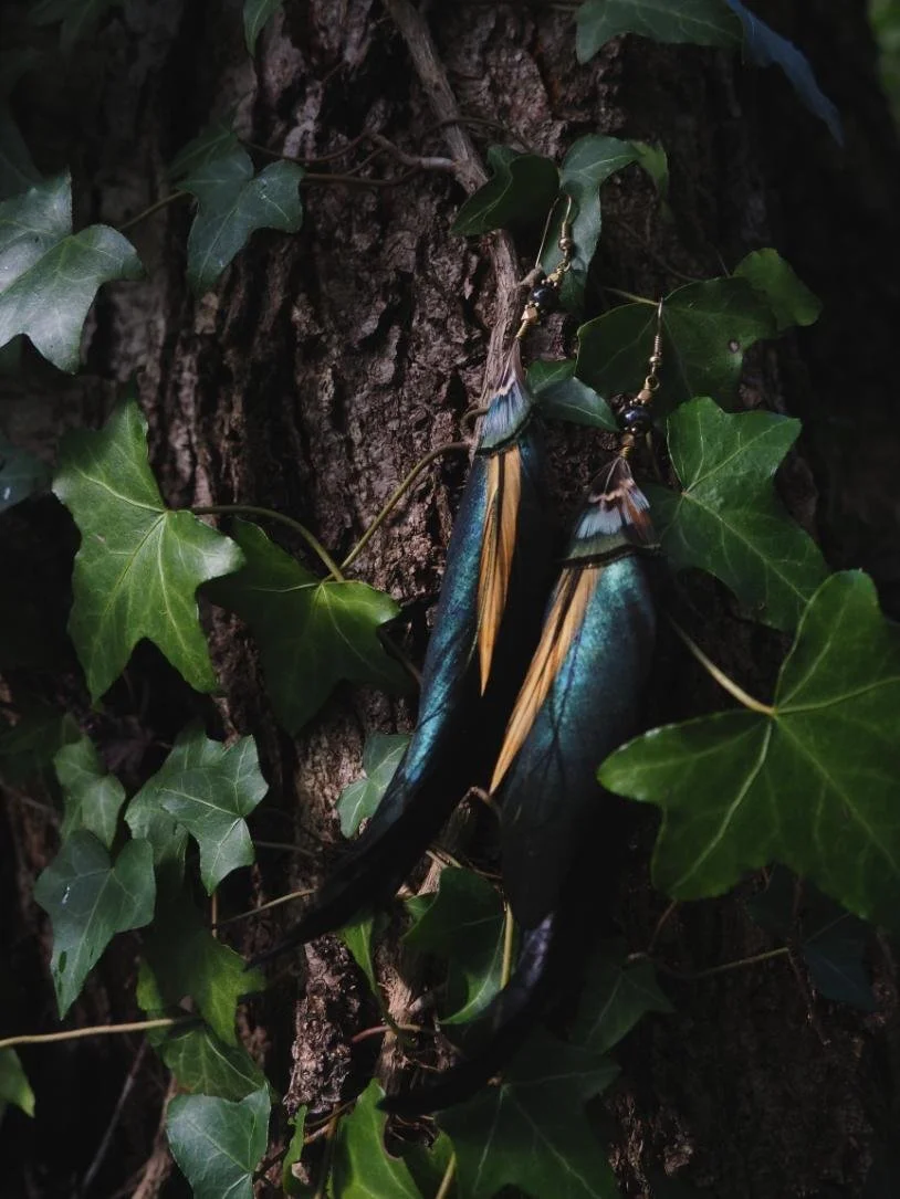 Plumenons-nous dans les bois