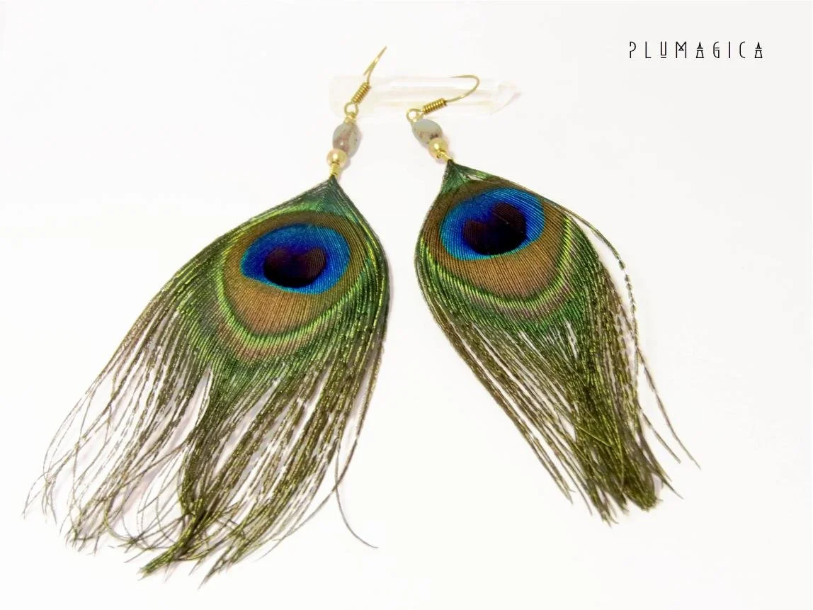 peacock labra.jpg