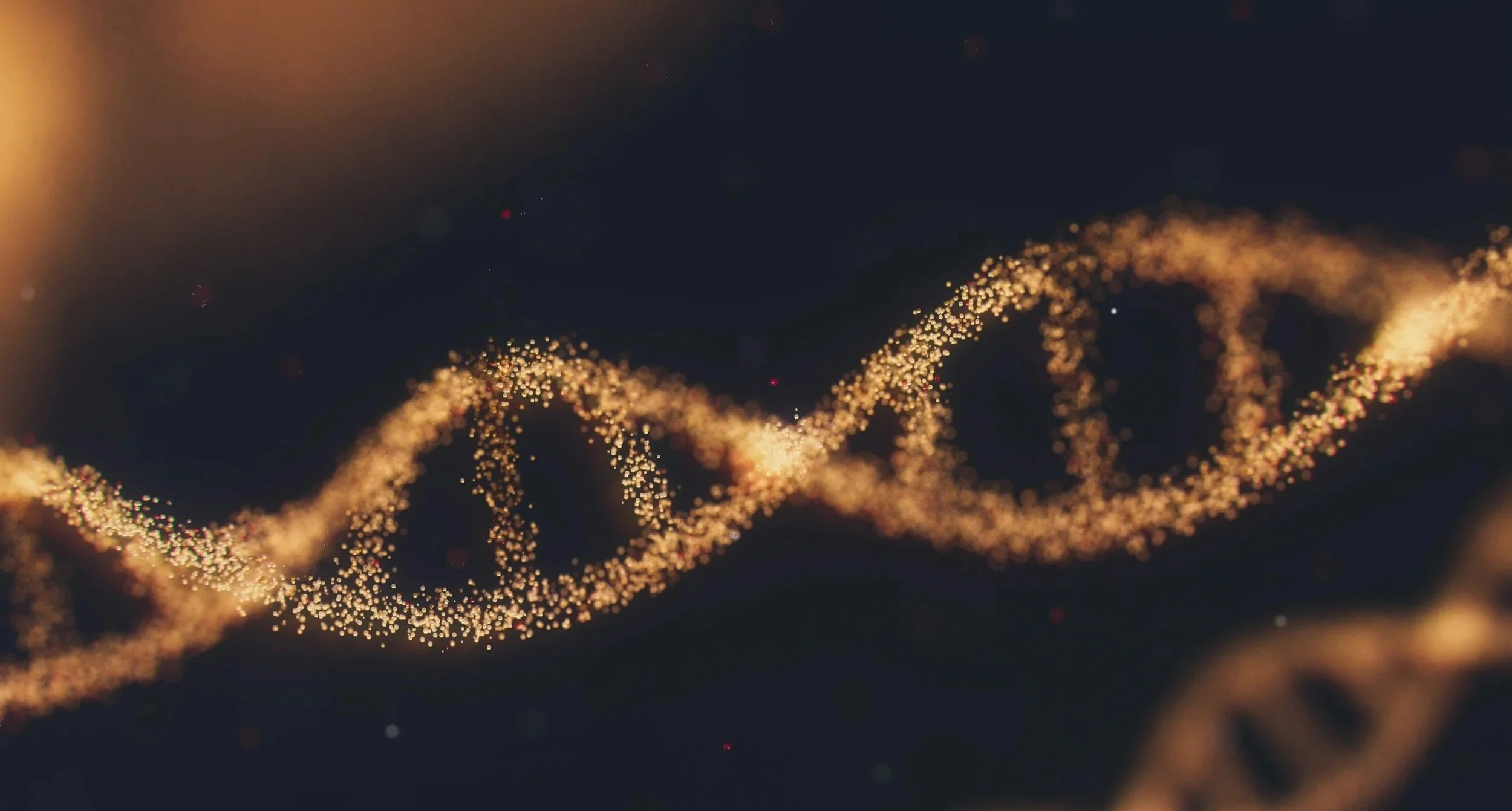 dna structure, and gene expression