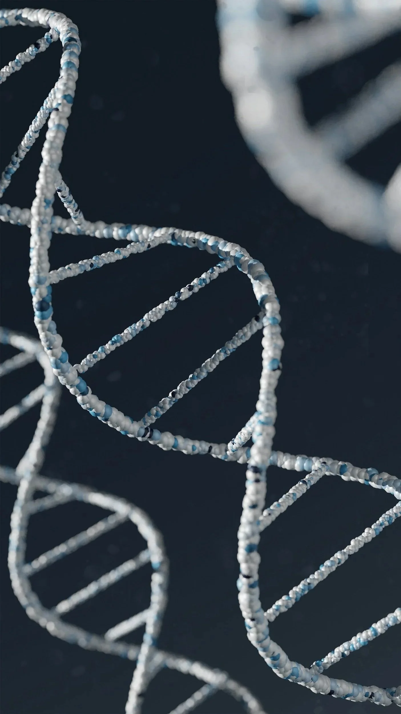 Genetics = The Blueprint