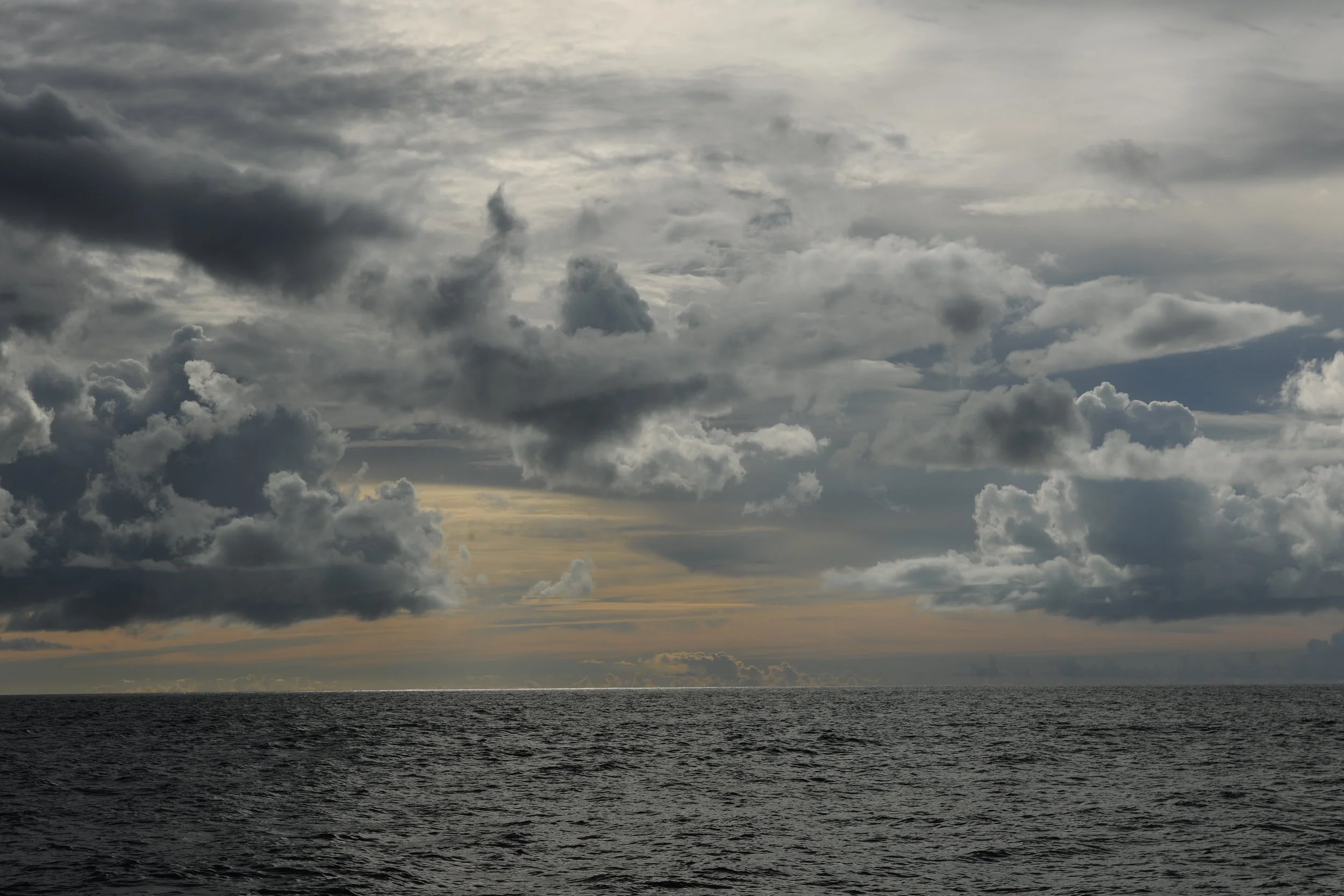 DSC_9687.JPG