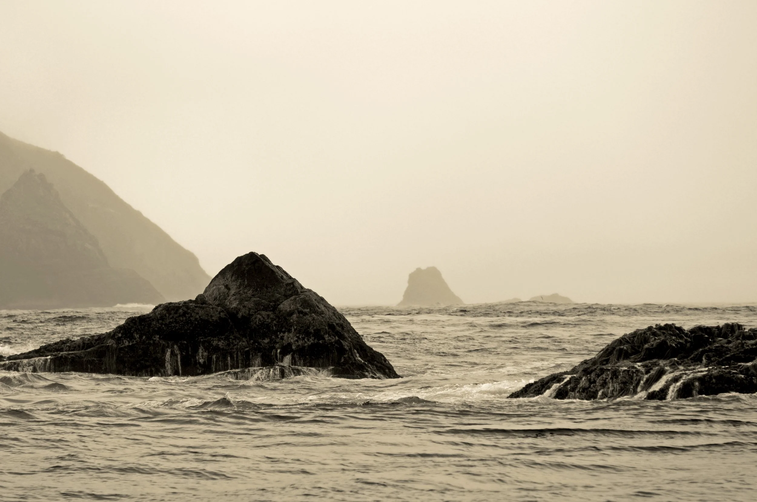 DSC_0174.jpg