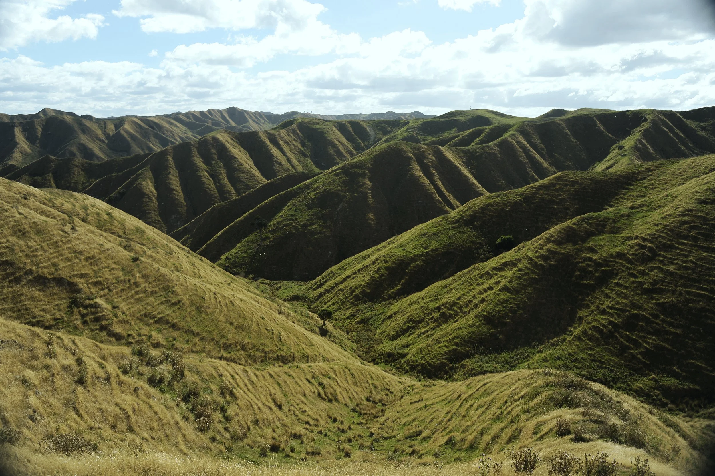 _DSC7413 copy.jpg