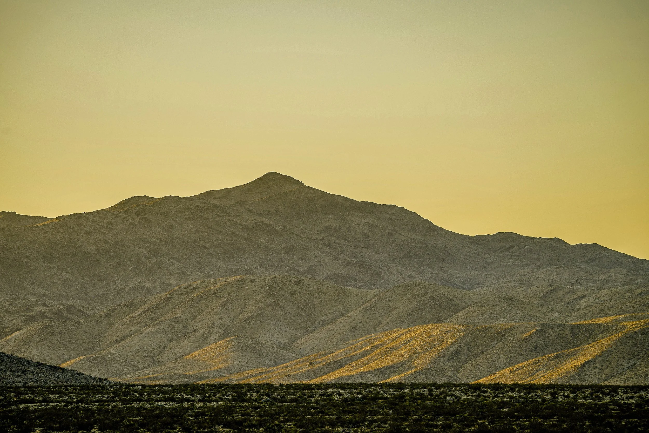 _DSC8002 2.jpg