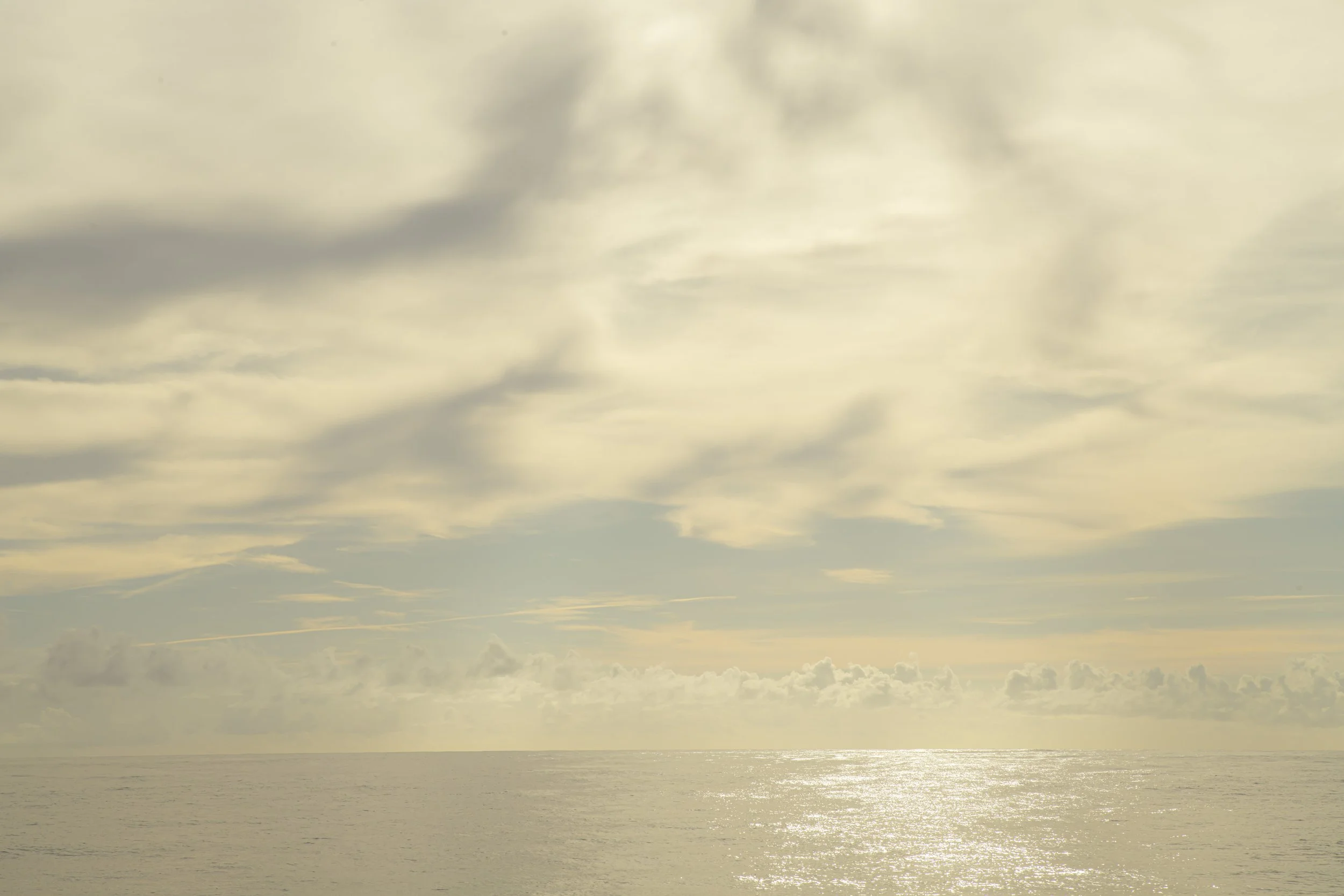 DSC_6354hi.jpg