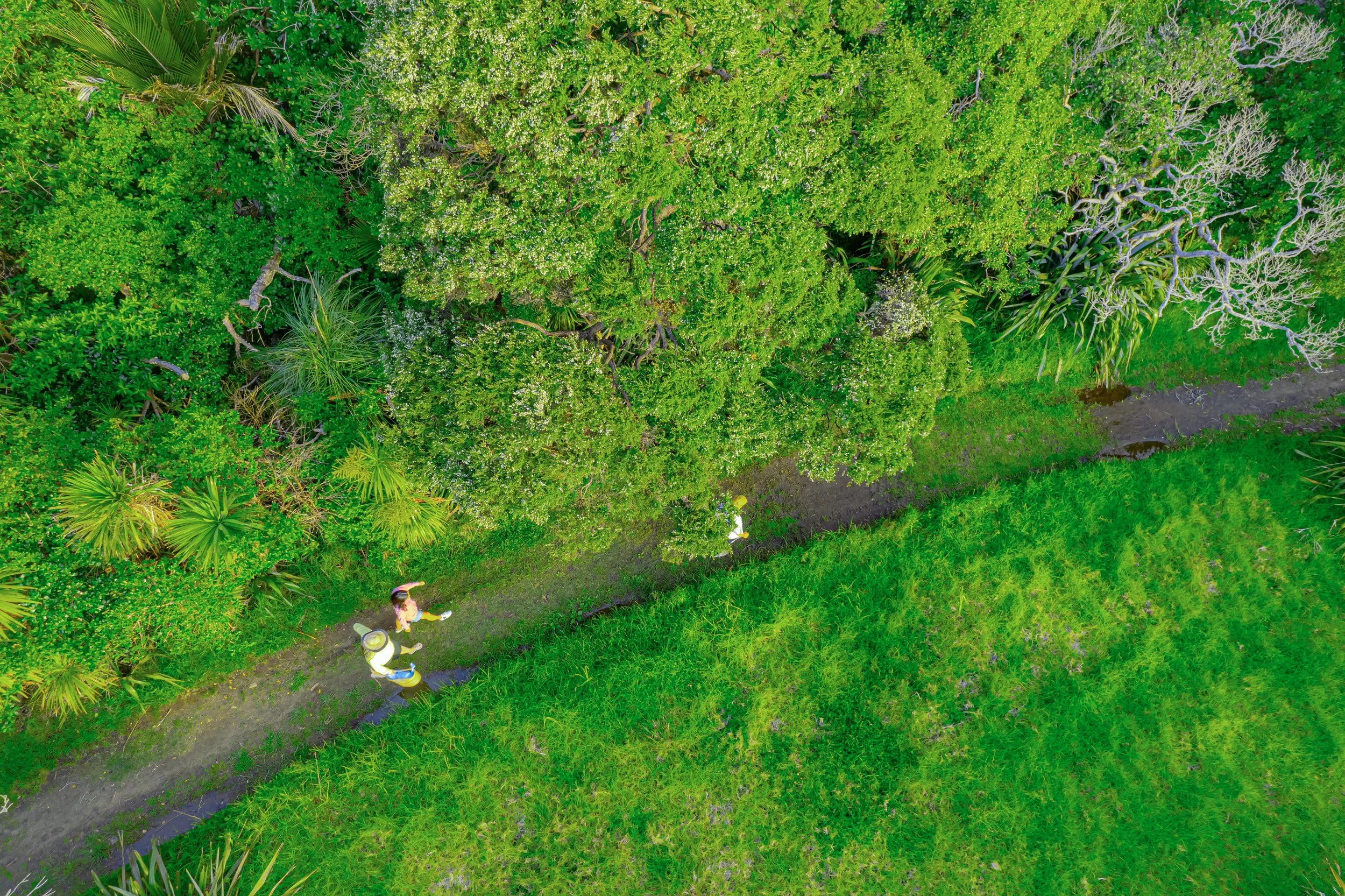 DJI_0998.jpg