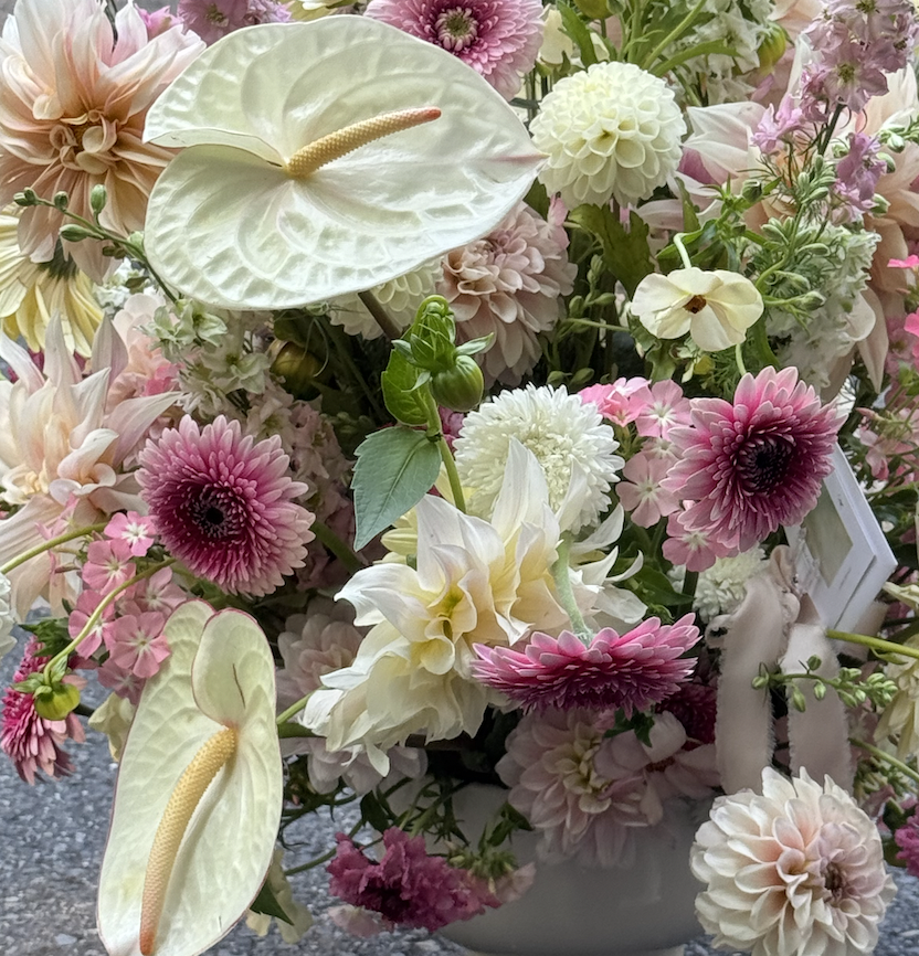 Screen Shot 2025-12-04 at 4.07.34 PM.png