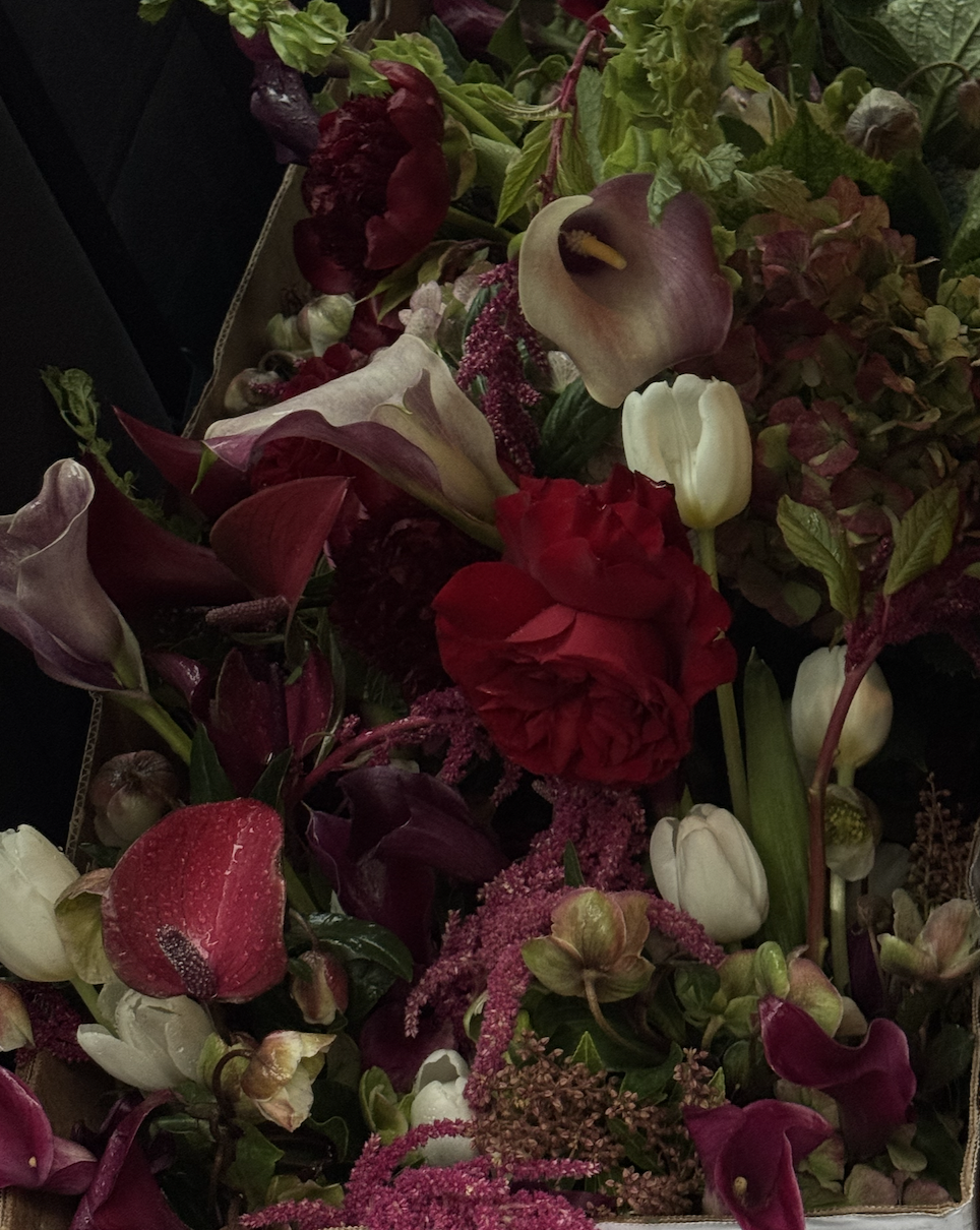 Screen Shot 2025-11-24 at 8.07.49 PM.png