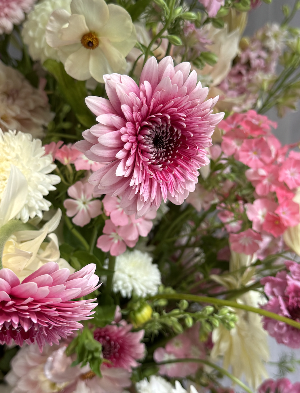 Screen Shot 2025-12-04 at 4.08.37 PM.png