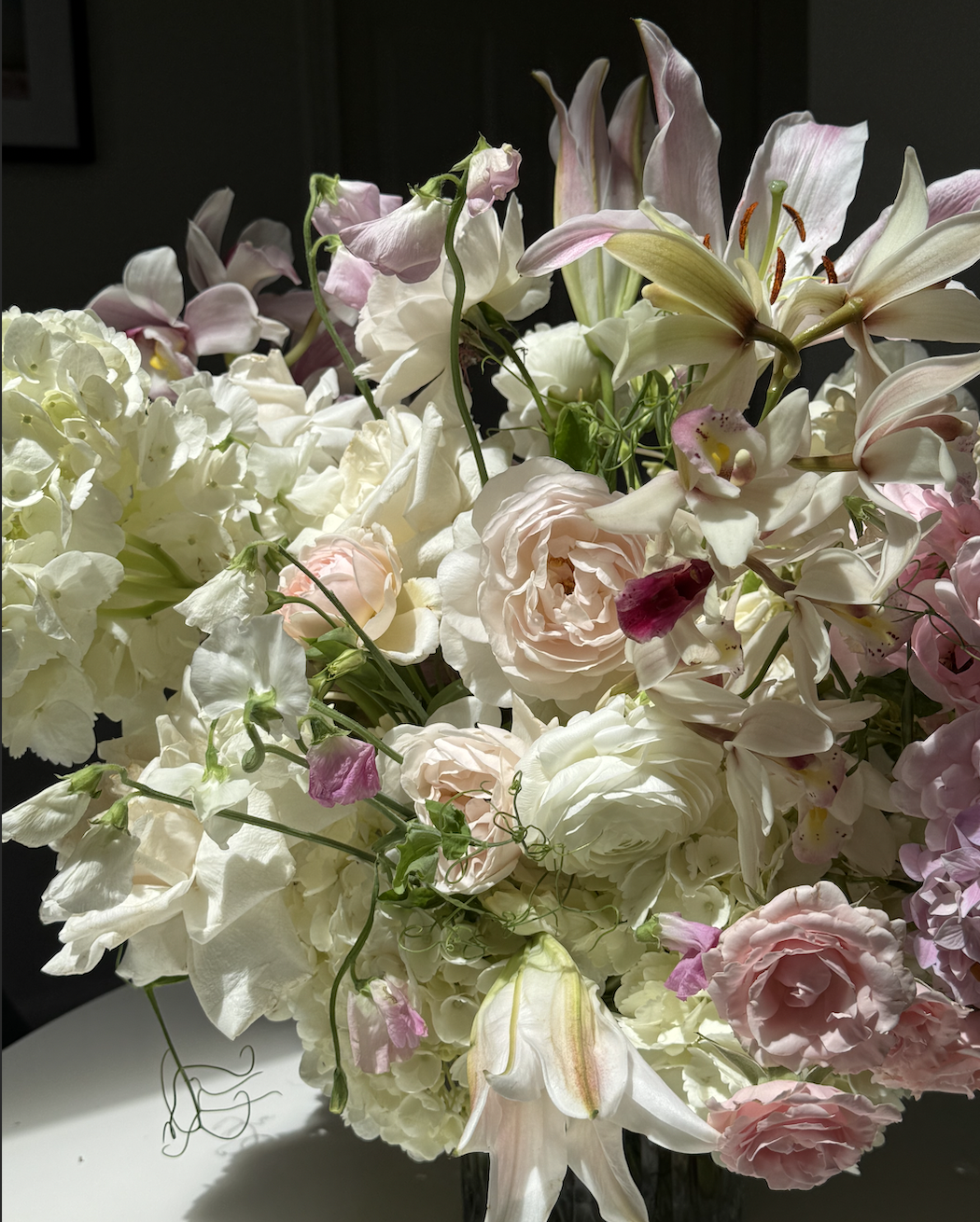 Screen Shot 2025-12-04 at 4.18.12 PM.png