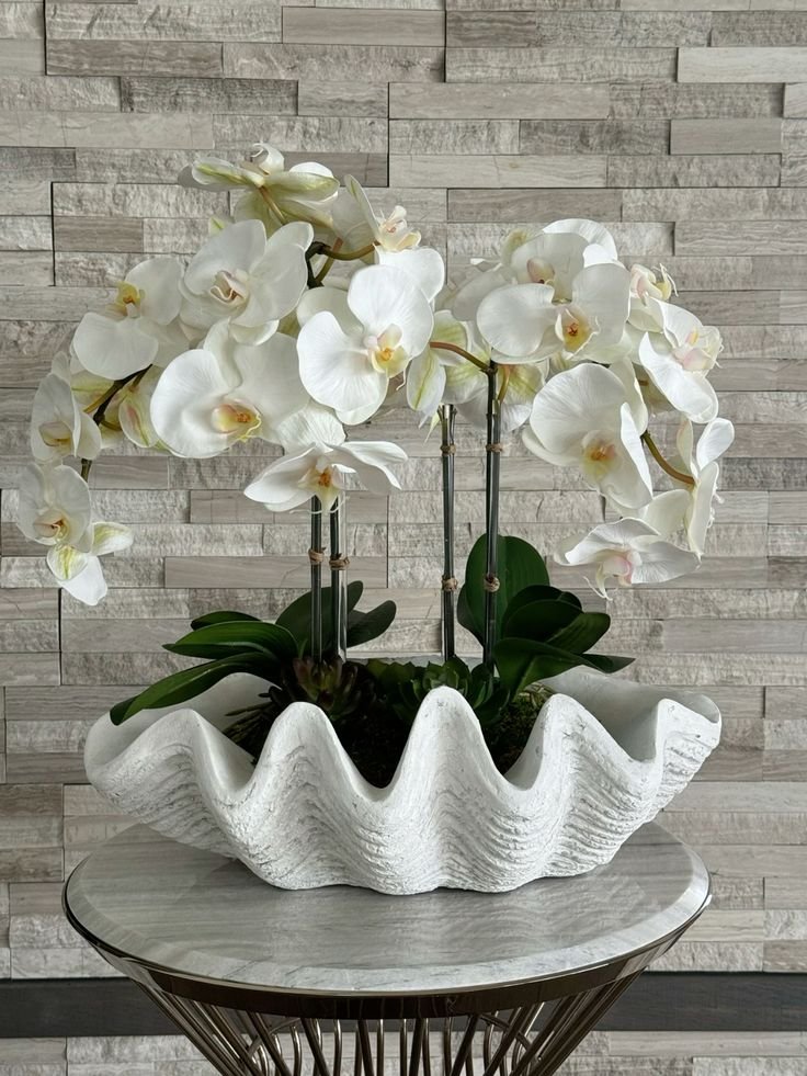 White orchids in clam shell vase.jpeg