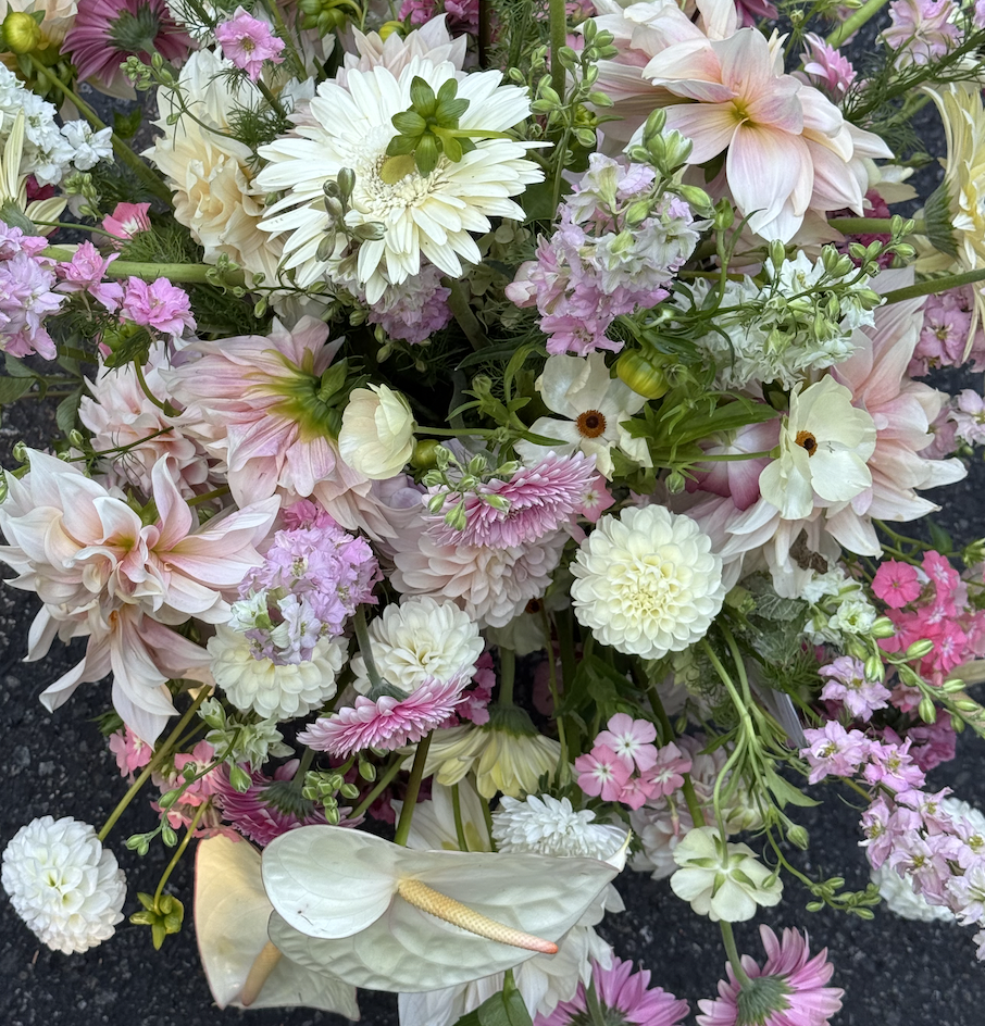 Screen Shot 2025-12-04 at 4.07.21 PM.png