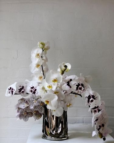 Orchid Arrangement.jpeg