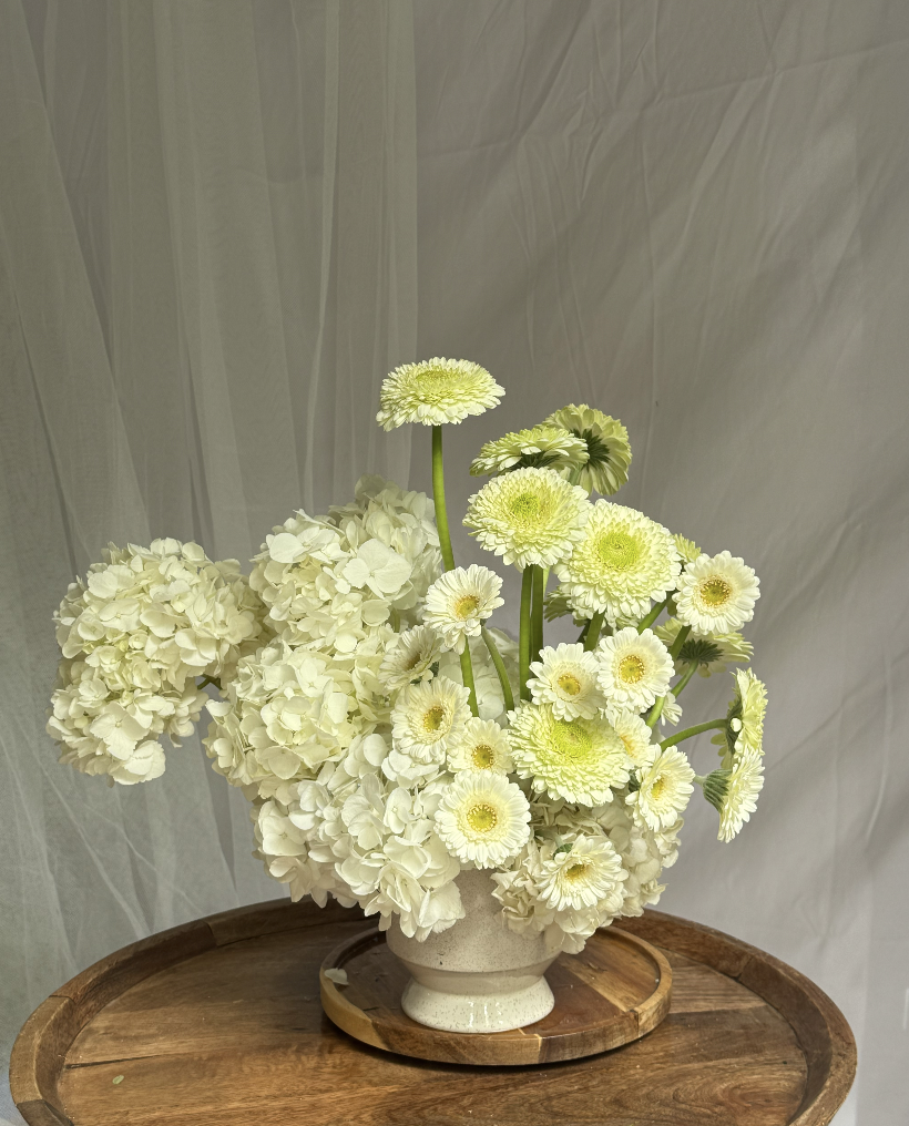 Screen Shot 2025-12-07 at 12.47.06 PM.png