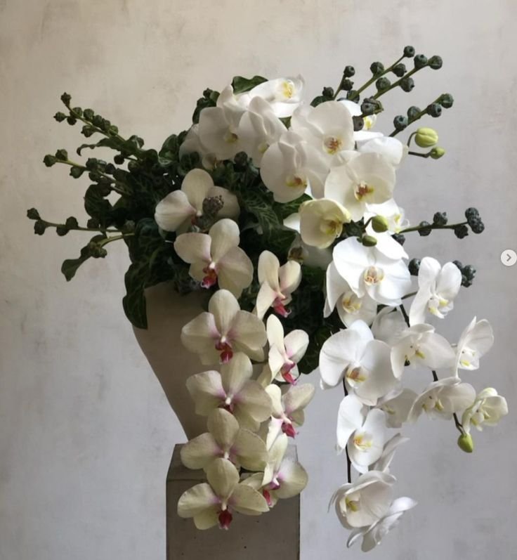 Flowers - Orchid.jpeg