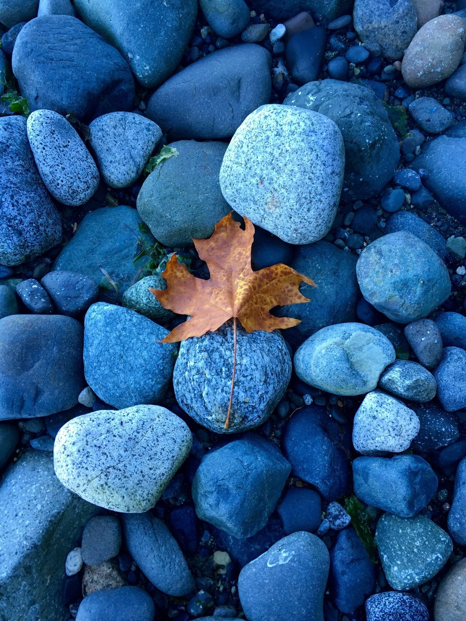 A Season for Change