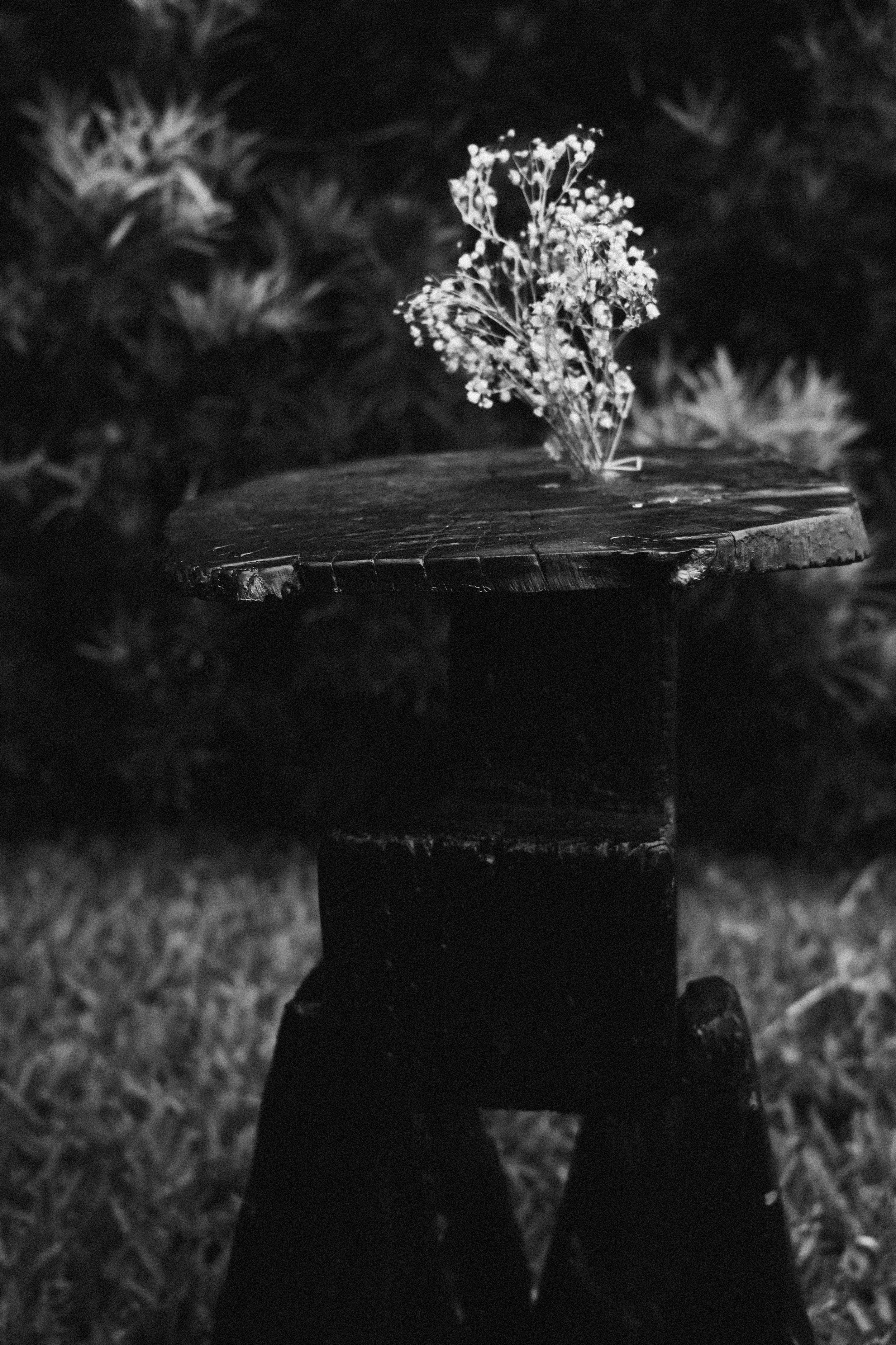 DSC03802-VSCO-2.jpg