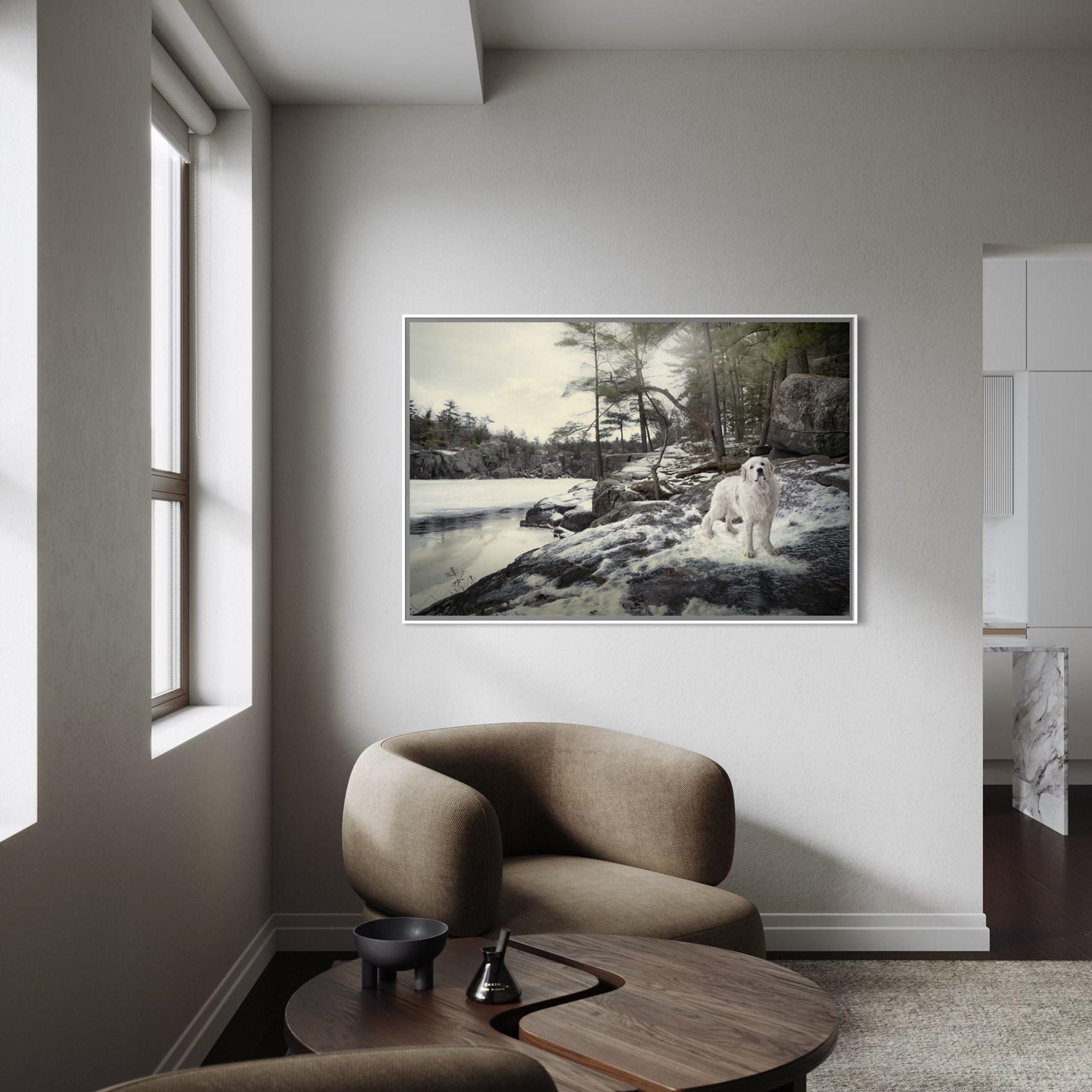 Framed photograph of a dog.