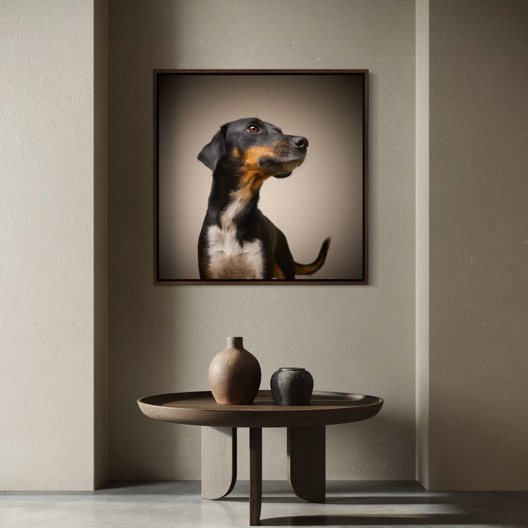 Studio photograph of a dog.