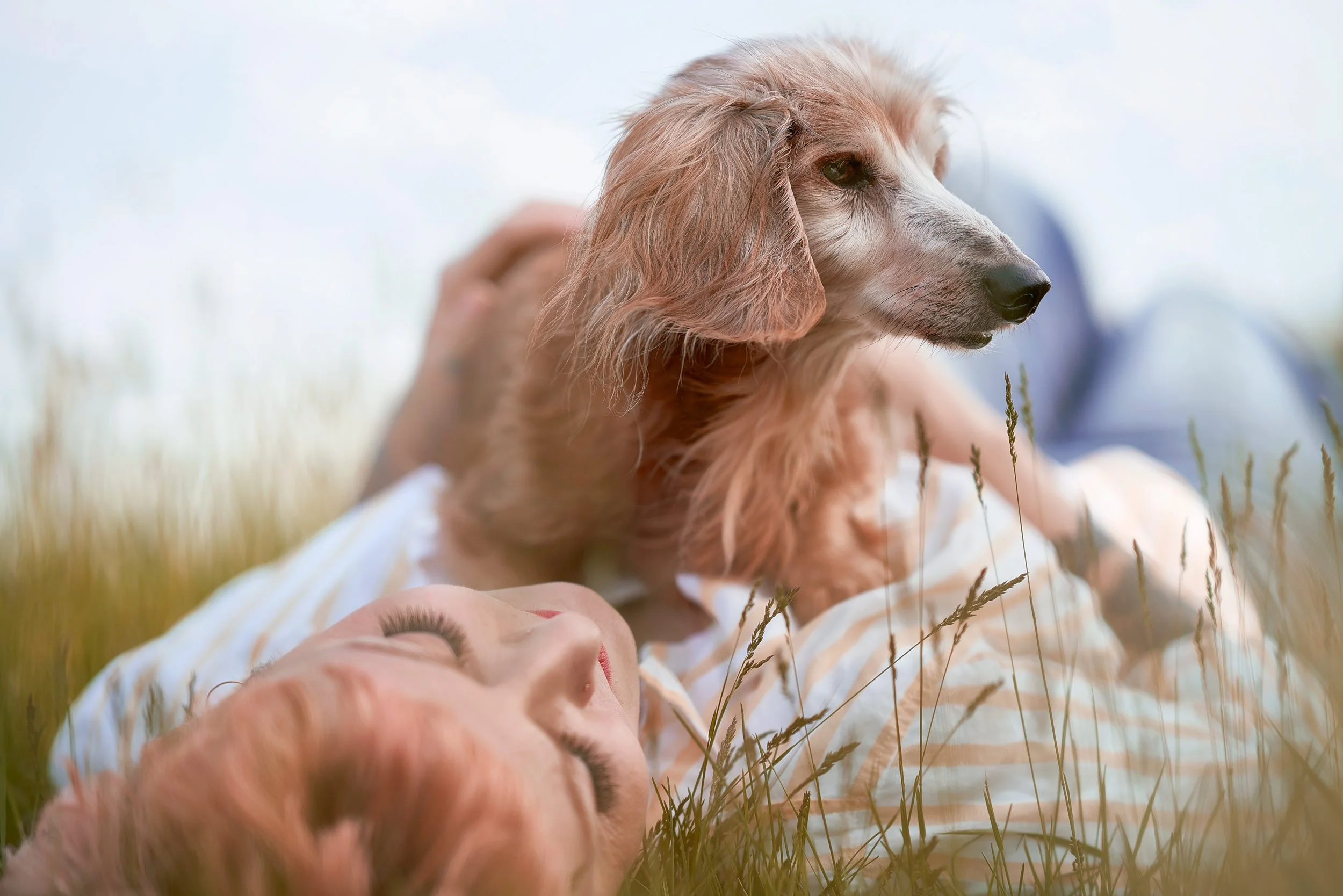 Portrait of a woman lying in the grass with her senior dog.
