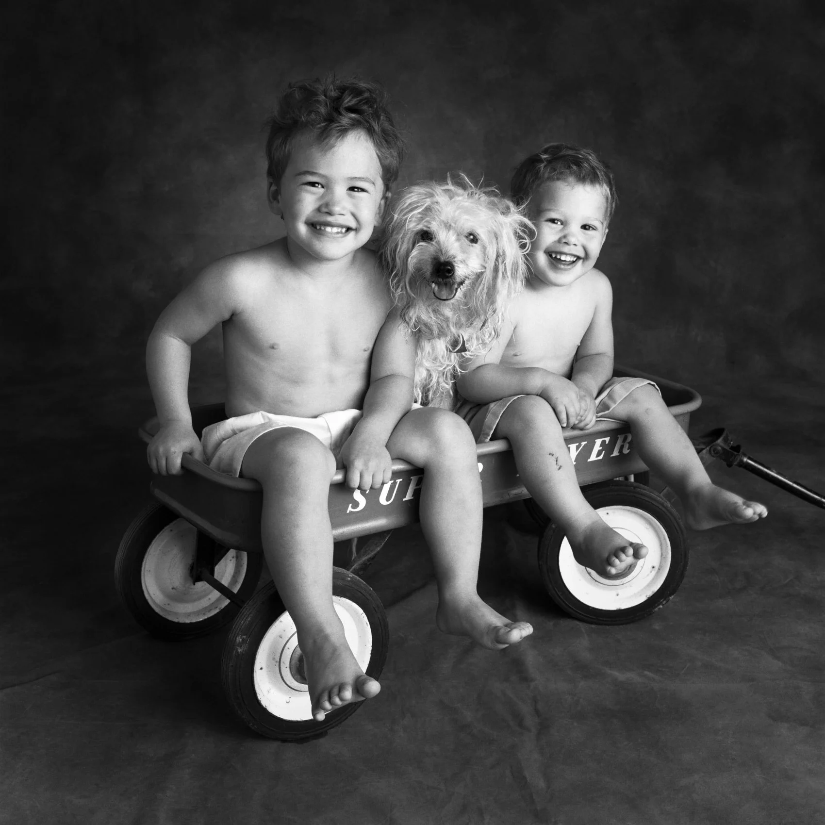 Studio portrait of two boys in a wagon with their dog.