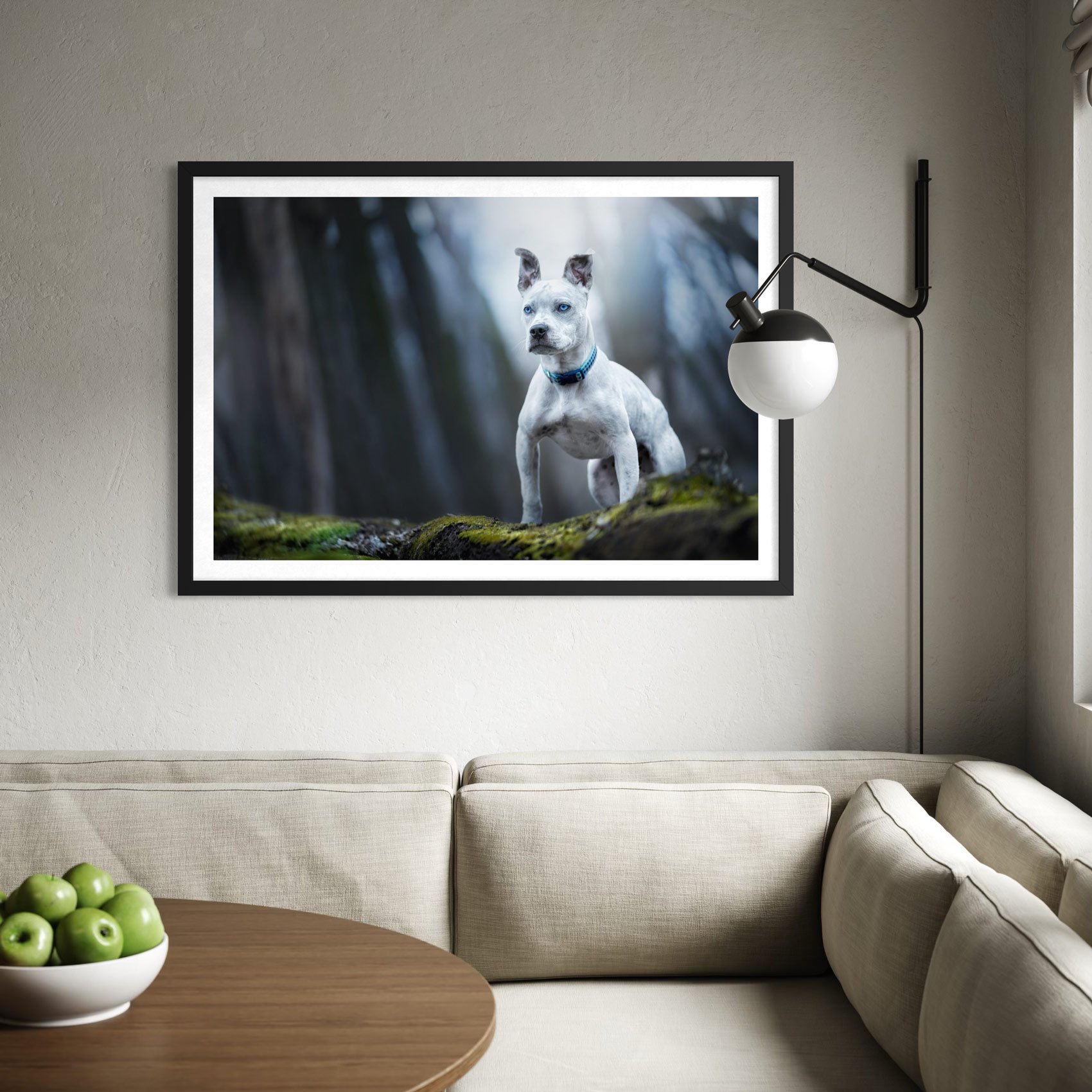Framed photograph of a dog.