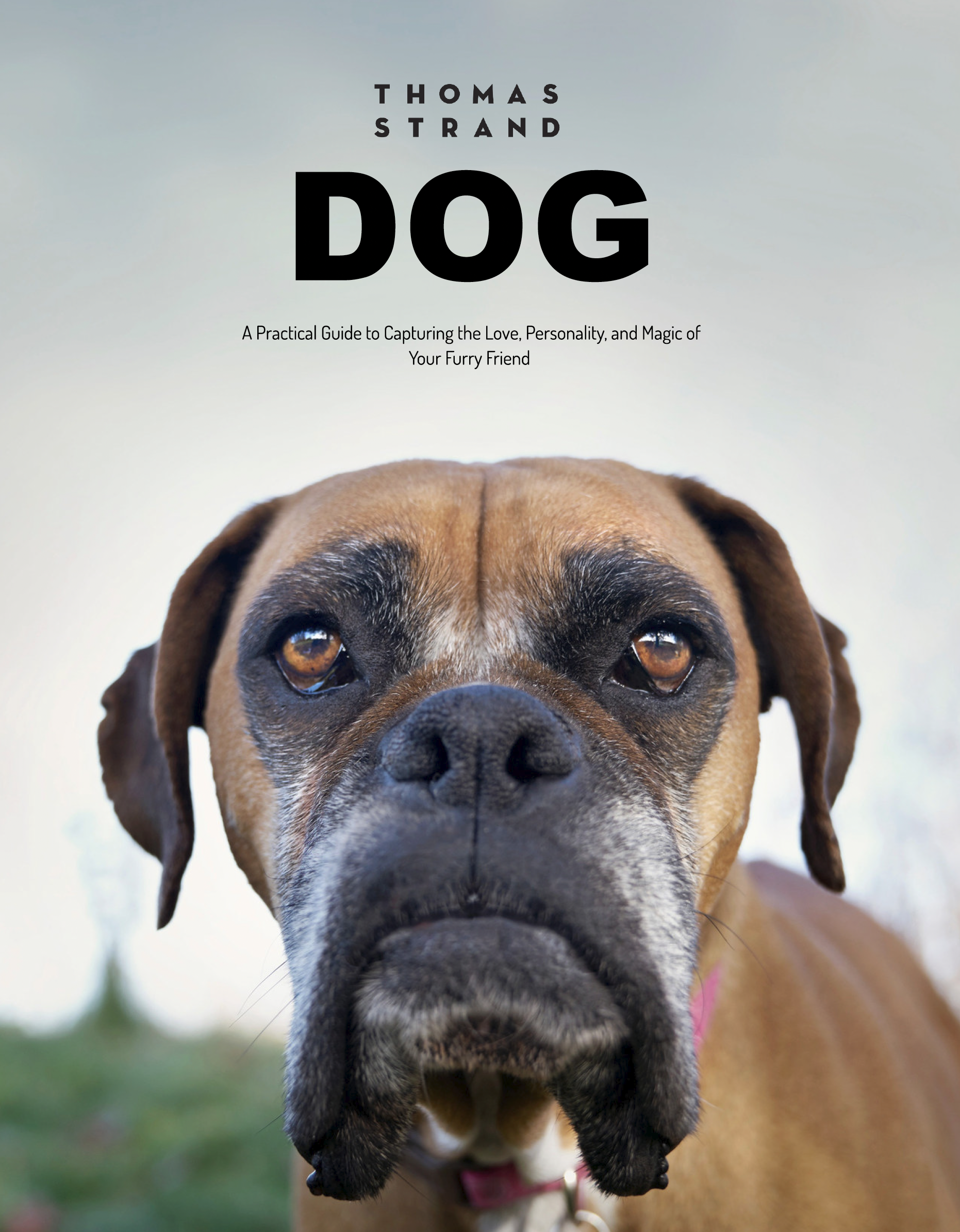 Book cover featuring a close-up of a dog's face, with the title 'Dog' and author 'Thomas Strand' at the top.