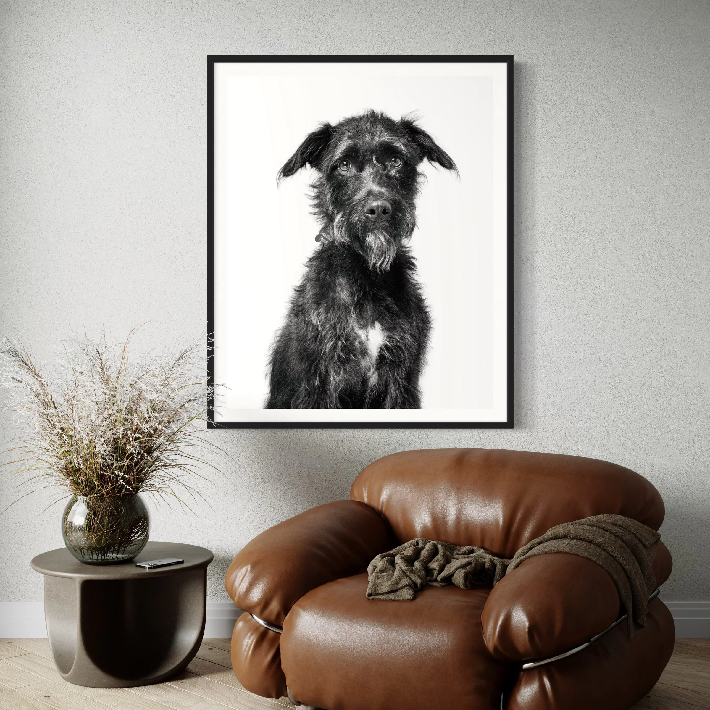 A black-and-white portrait of a scruffy dog hanging on a wall in a living room.