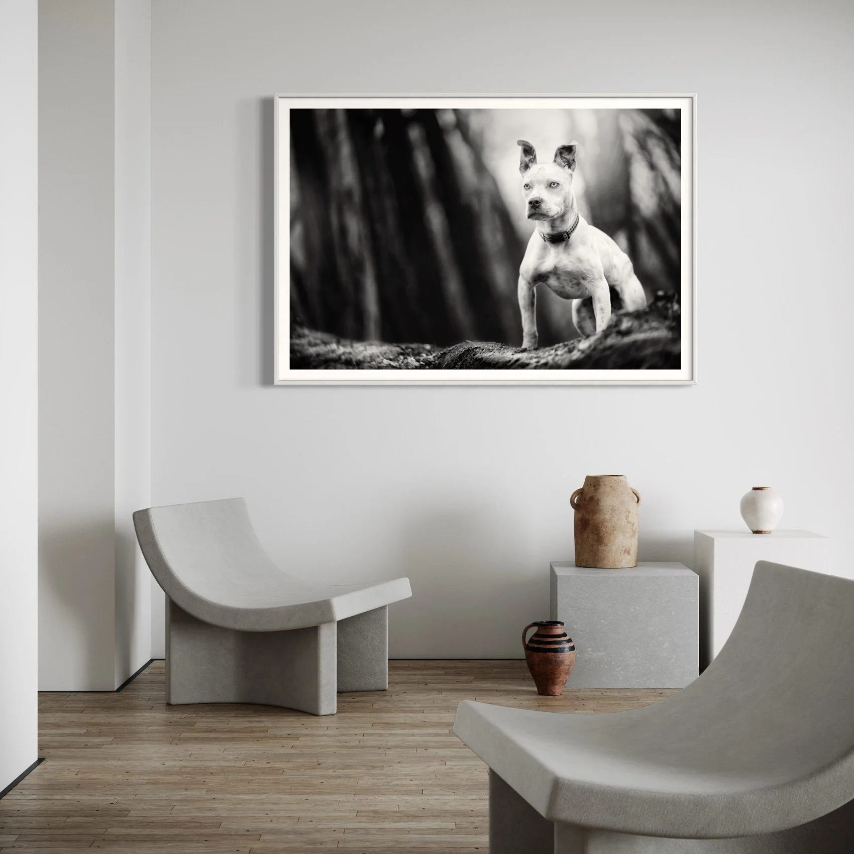 A black and white framed photograph of a dog, possibly an American Staffordshire Terrier, standing outdoors on a rock with a blurred natural background. The room features minimalist decor with modern, curved chairs, wooden flooring, and several pottery vases on pedestals.